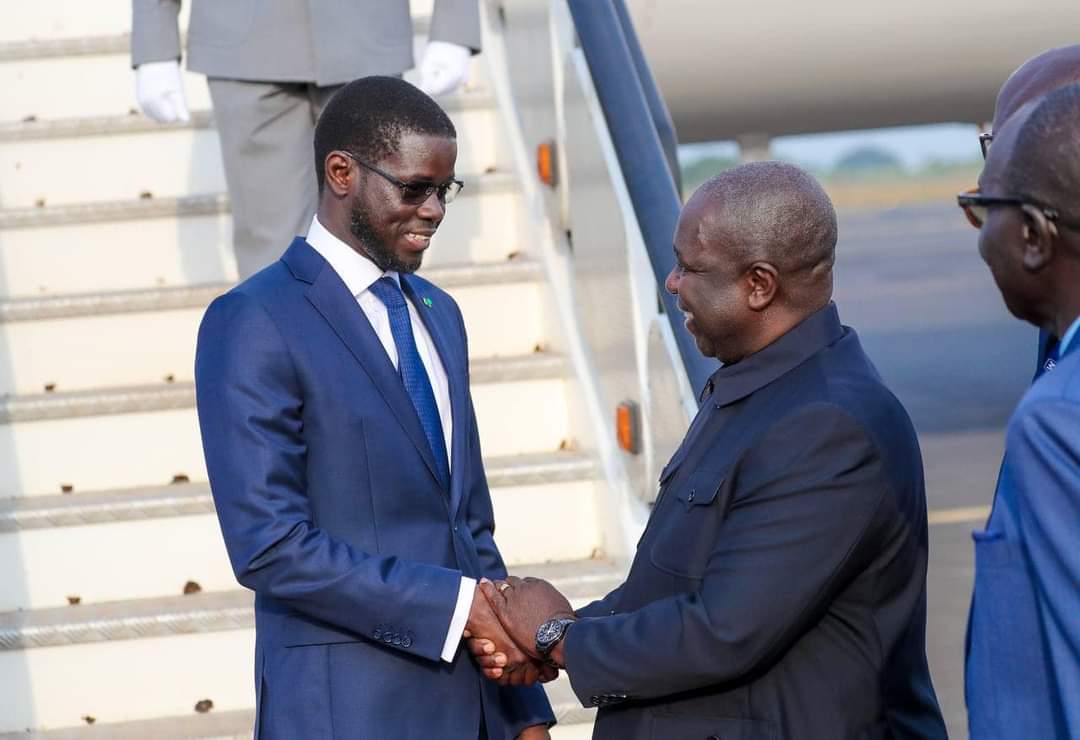 FB IMG 1731785602134