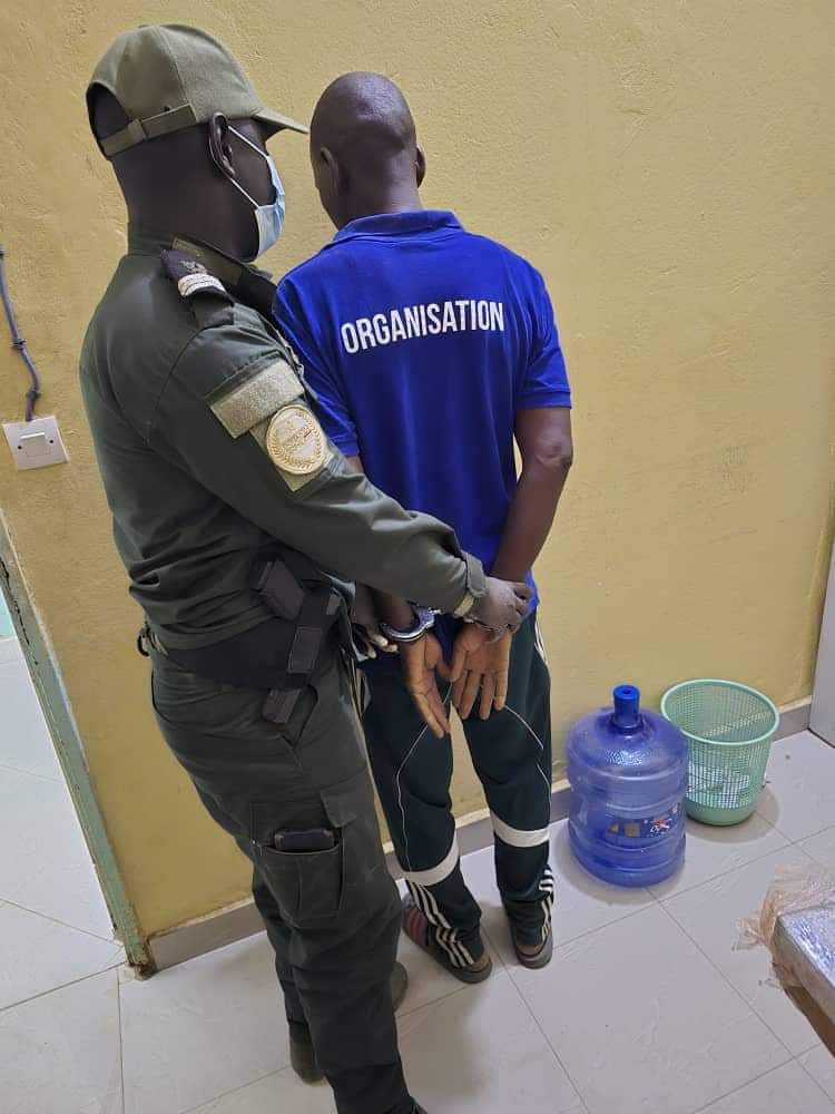 FB IMG 1732566607396