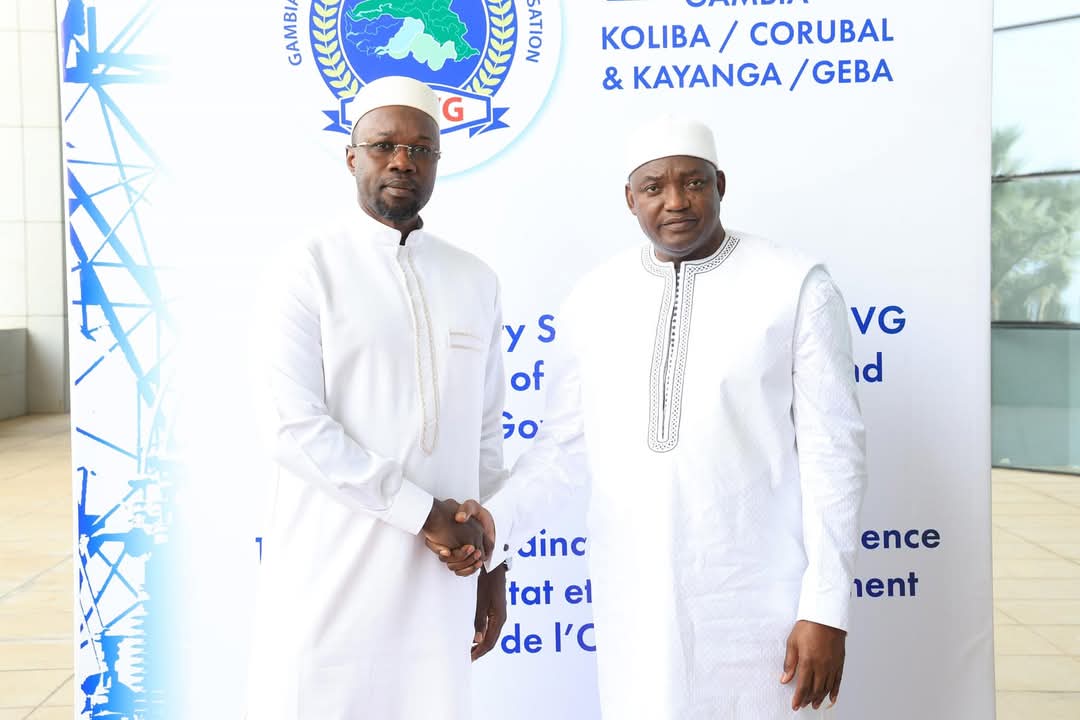 FB IMG 1733596772881