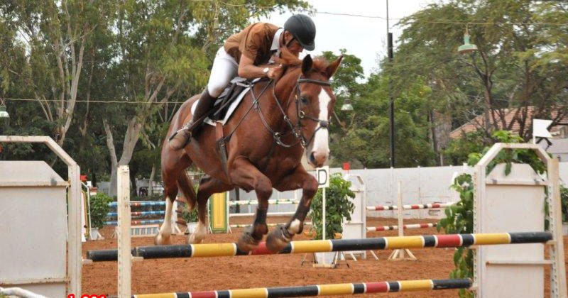 Fédération des sports équestres : Des pratiques du «Leundeum Loubbeul Lijeunti» dénoncées (communiqué)