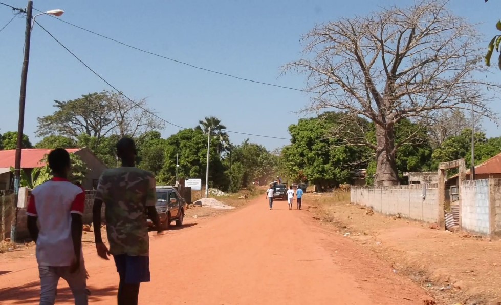Bignona : Les jeunes de Djilacoune portent le développement de leur village et tendent la main à l'Etat 2 Bignona : Les jeunes de Djilacoune portent le développement de leur village et tendent la main à l’Etat