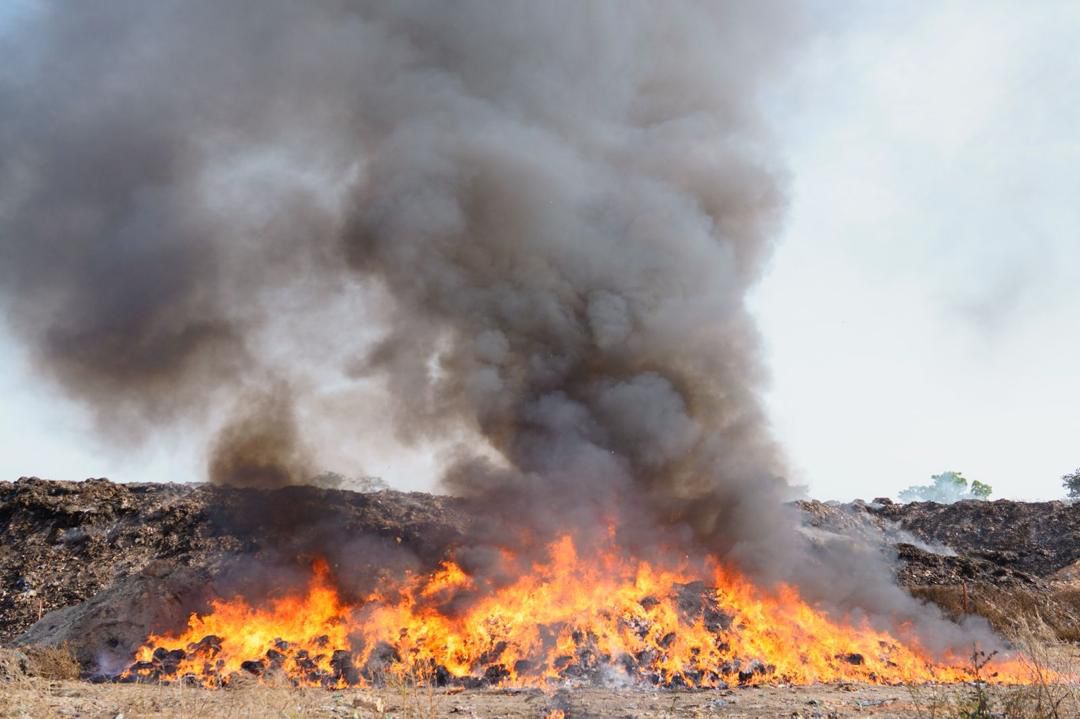 ca84b549 0b90 4d63 82af b893c36c3b62