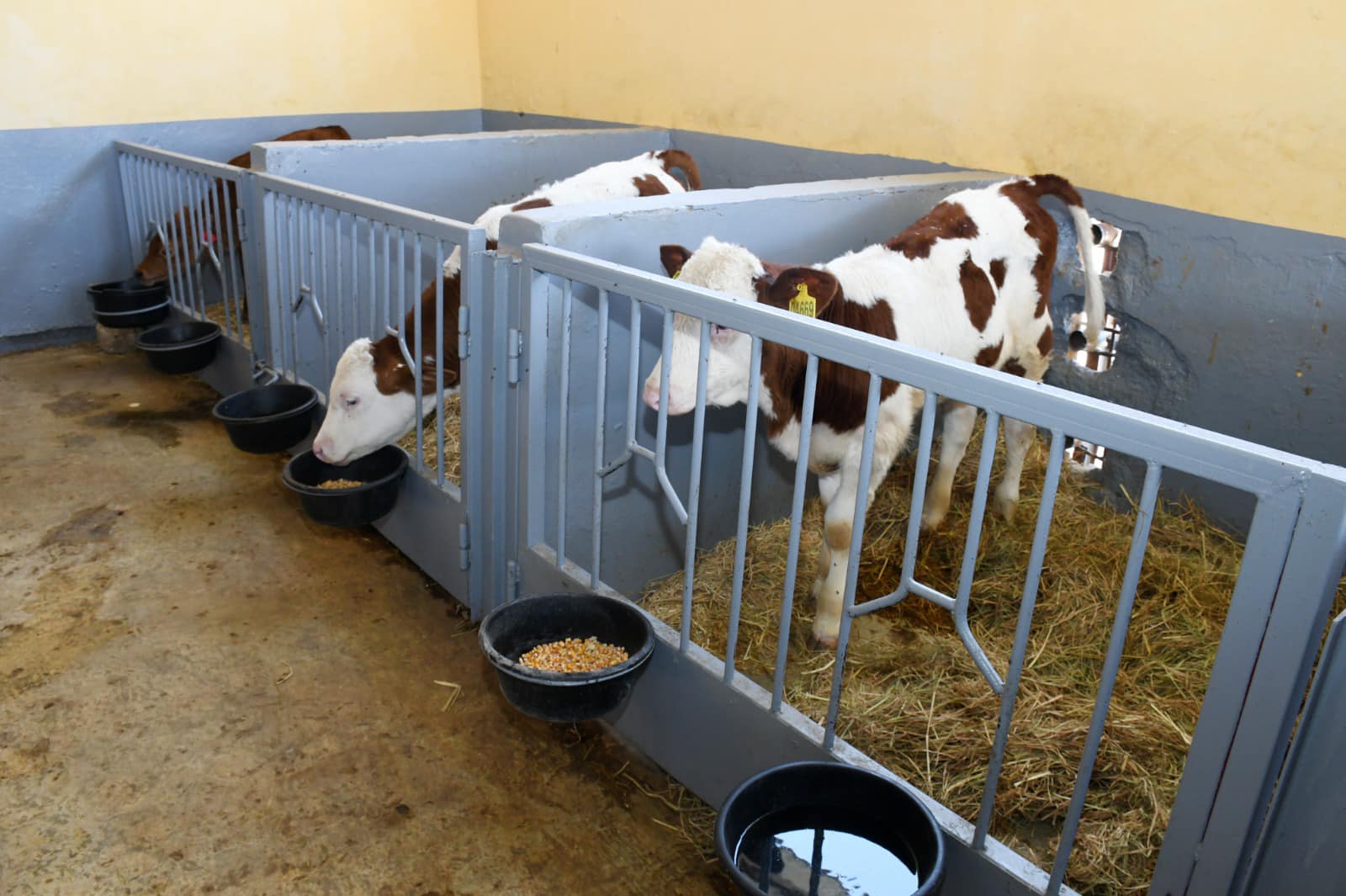 482014309 1031347435692497 635843098789857693 n