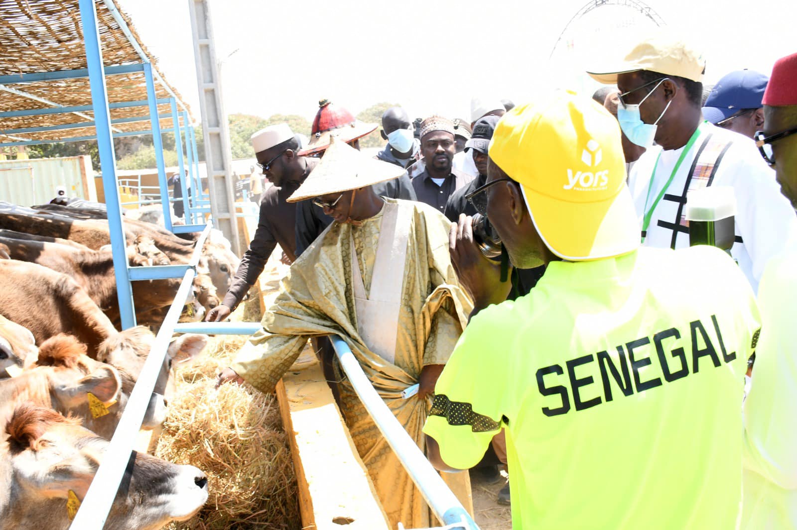 482028765 1031347295692511 9073579501312970644 n