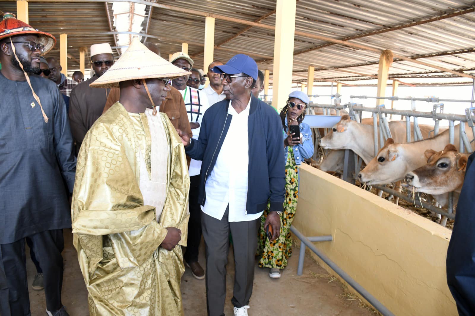 482029084 1031347919025782 233413810042665835 n