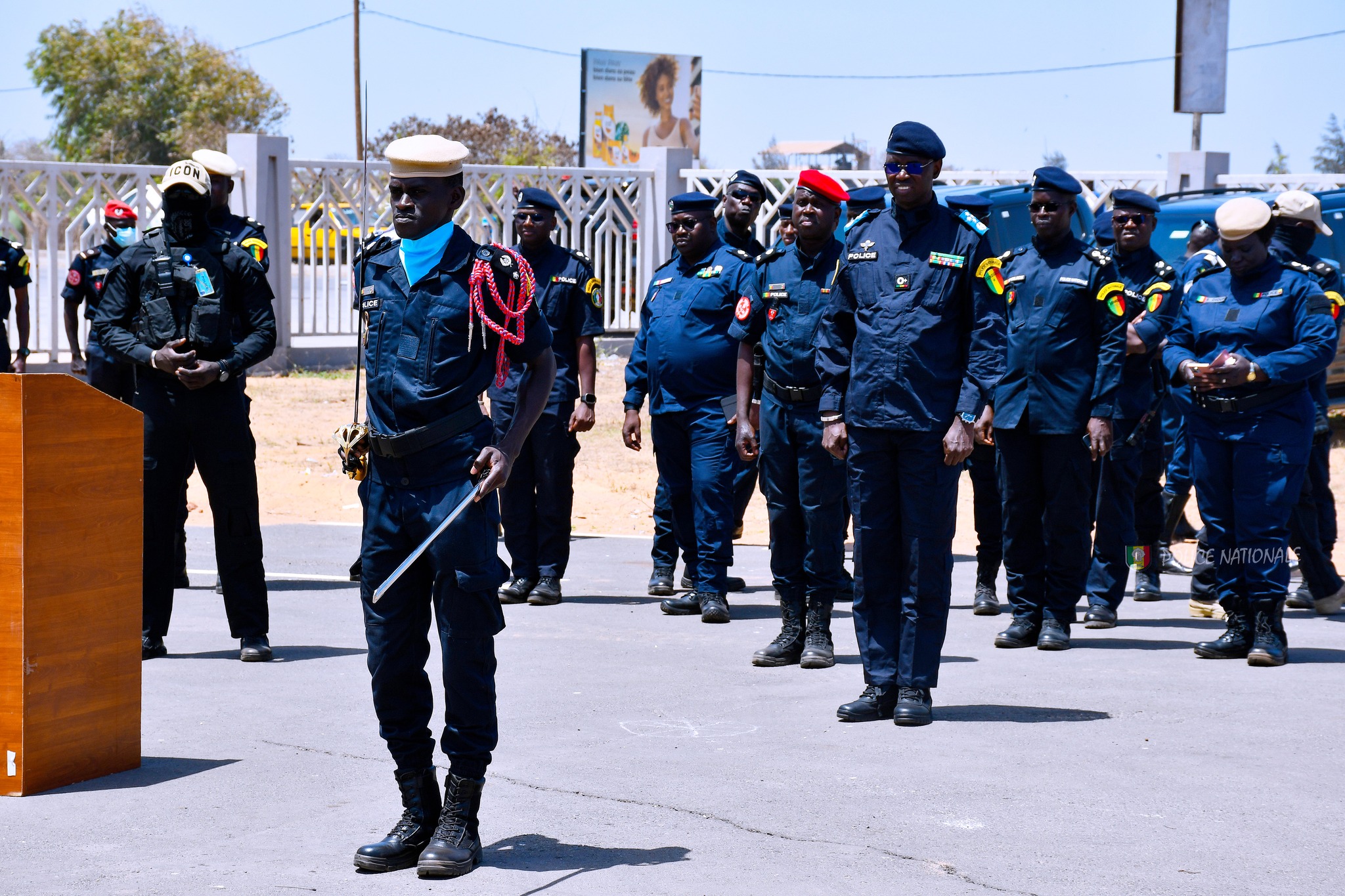 486857501 1184846863036643 3928767646599549772 n