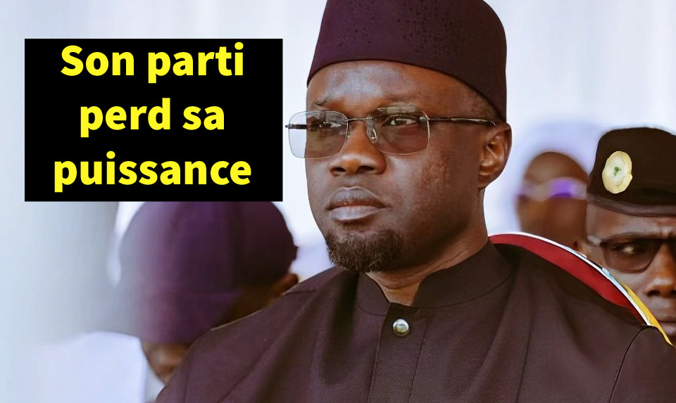 La fin du monopole de PASTEF...une réorganisation indispensable pour le parti de Sonko 8 La fin du monopole de PASTEF…une réorganisation indispensable pour le parti de Sonko