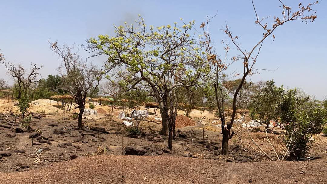 FB IMG 1744145579549