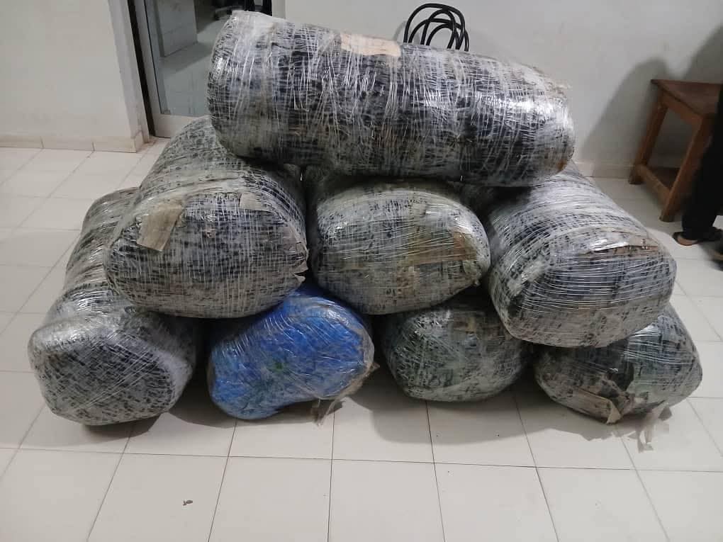 FB IMG 1744772048469