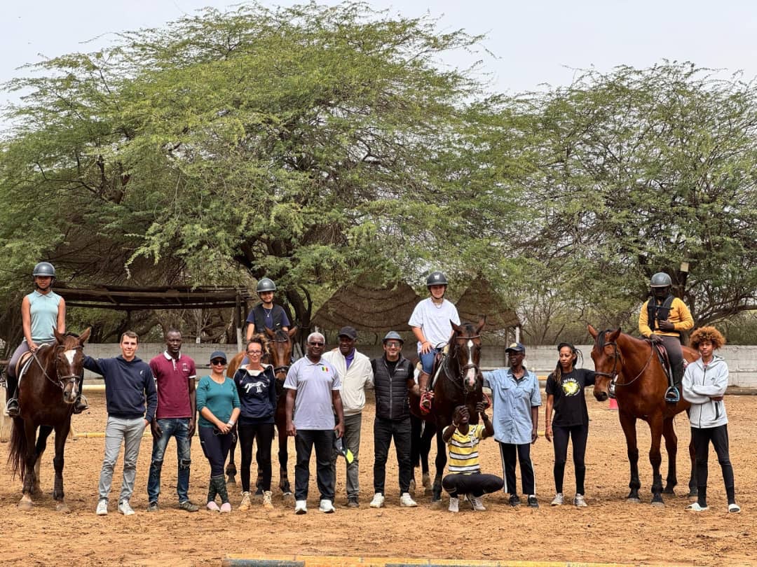JOJ Dakar 2026 : L’équitation sénégalaise au cœur d’une tourmente éthique et financière