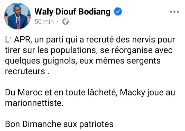 523109385 777268638393251 3617797252023334002 n