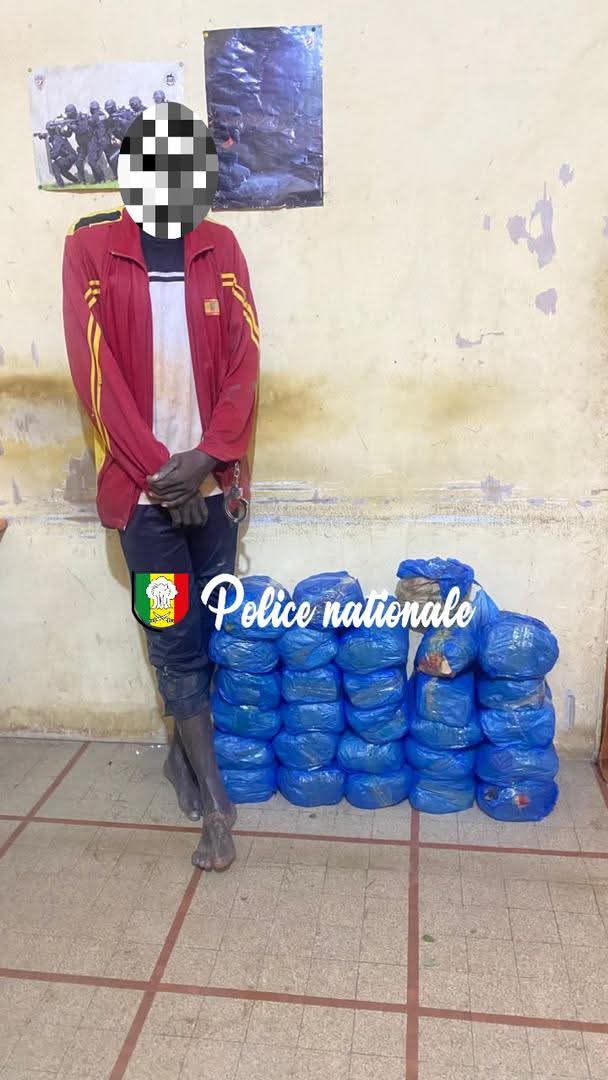 Kaolack : 29 kg de chanvre indien saisis lors d’une opération nocturne 4 Kaolack : 29 kg de chanvre indien saisis lors d’une opération nocturne