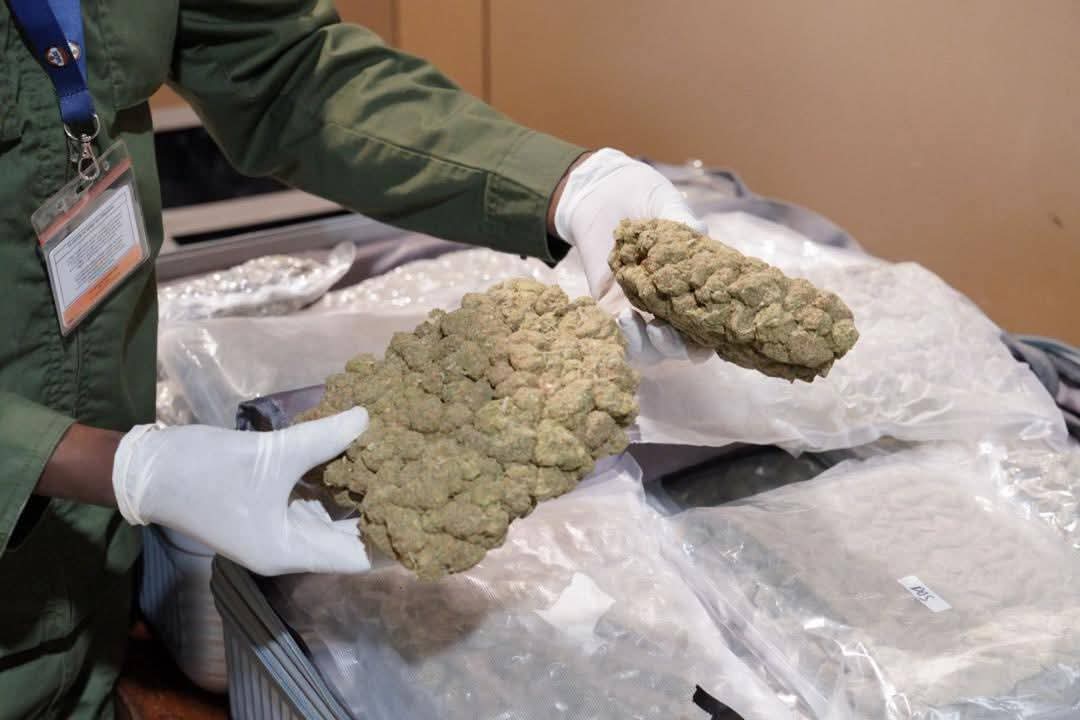 FB IMG 1760035354824