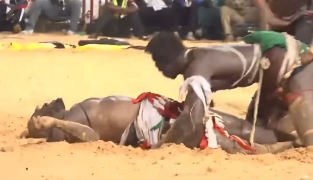 Screenshot 20251130 205337