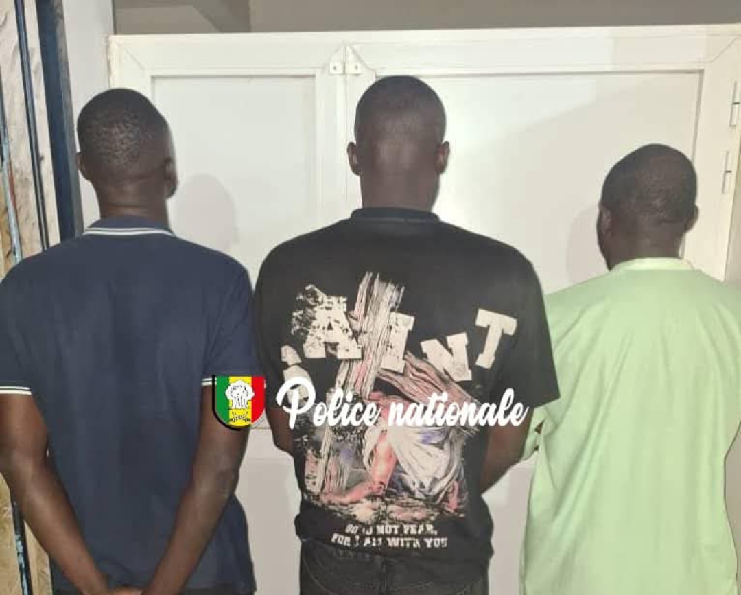 Screenshot 20251203 003900