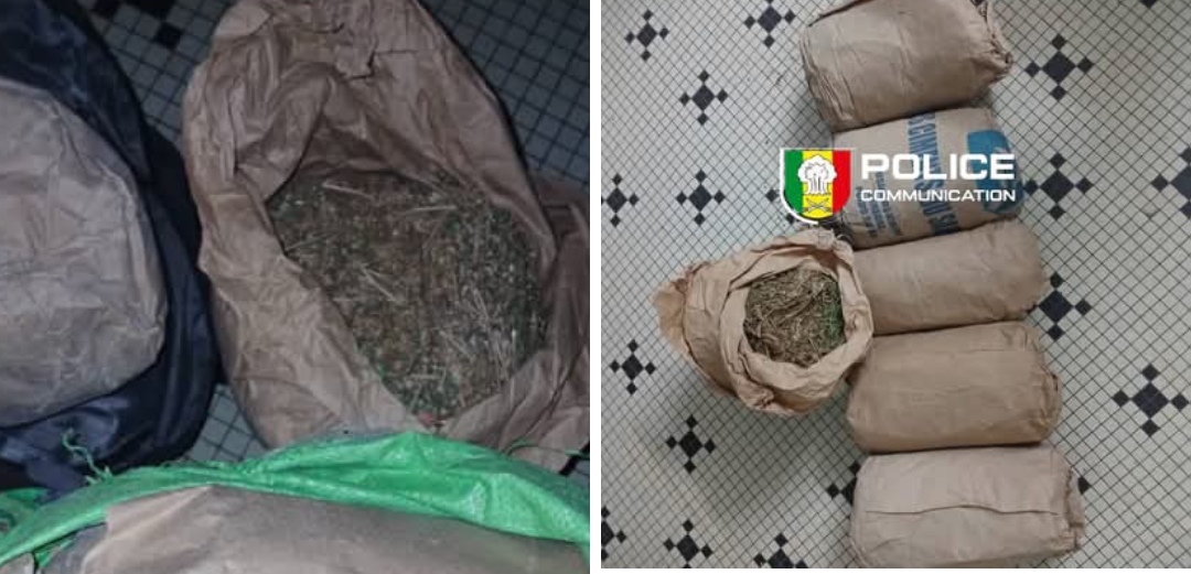 Saisie de drogue sur l’axe Sindian – Bignona : Deux trafiquants arrêtés par la BRS 4 Saisie de drogue sur l’axe Sindian – Bignona : Deux trafiquants arrêtés par la BRS