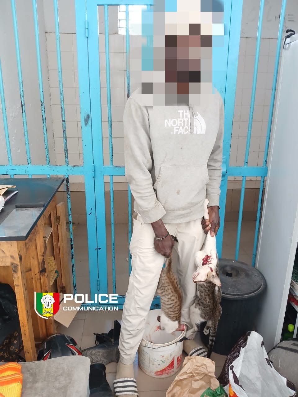 Corniche : Un vendeur de brochettes de chat arrêté 1 FB IMG 1773533603472