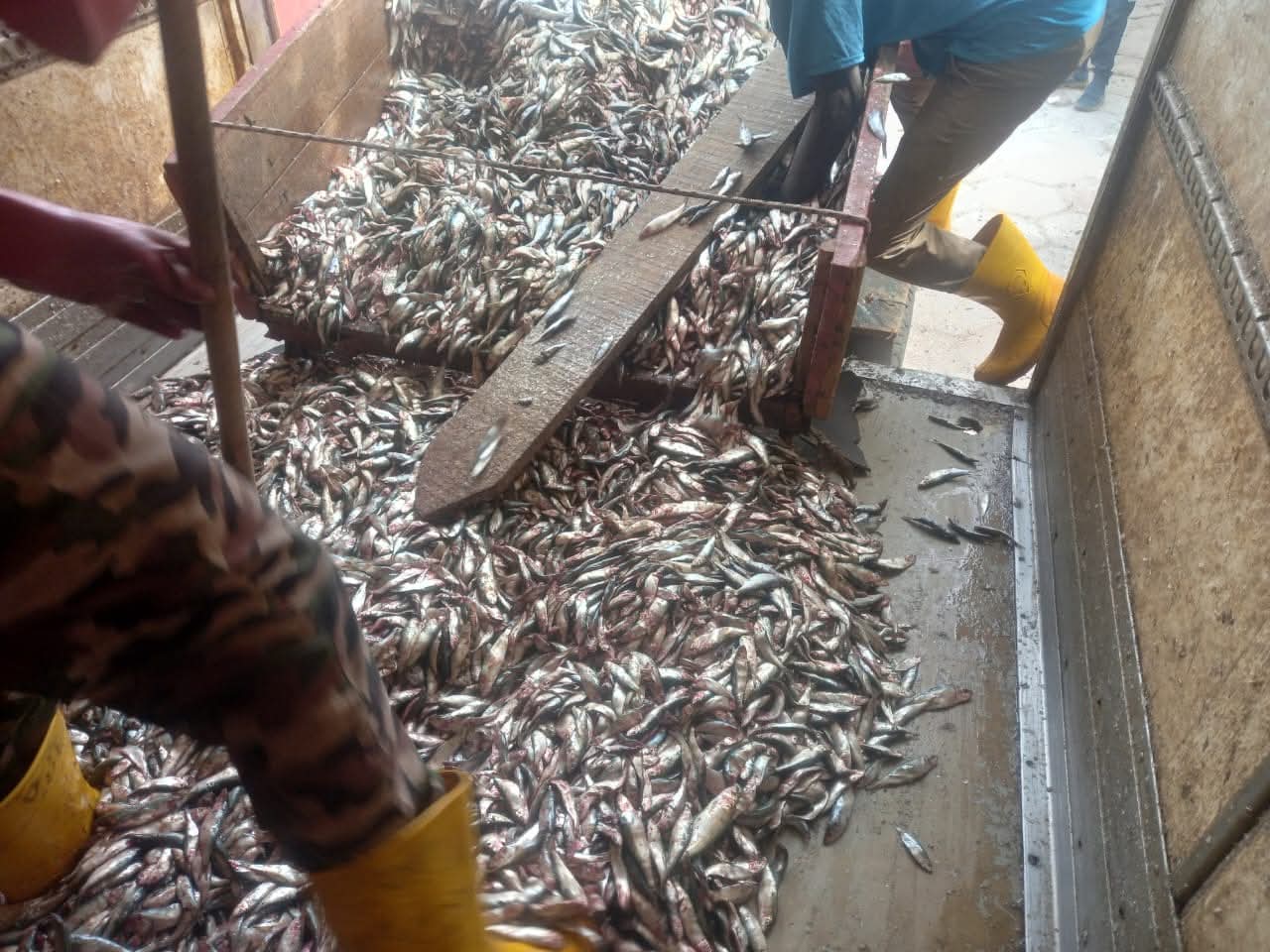 FB IMG 1773961605530