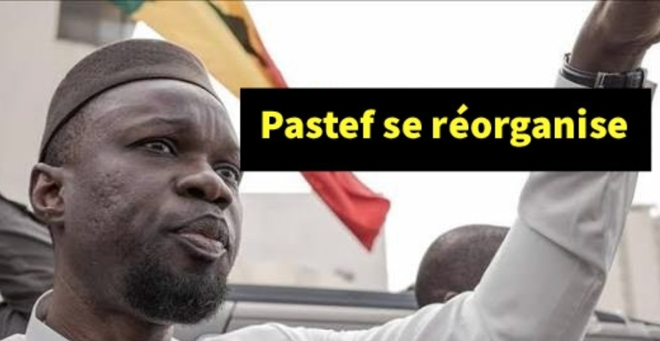 «Maître» des foules...Sonko et Pastef, à l’heure de la vérité électorale 7 «Maître» des foules…Sonko et Pastef, à l’heure de la vérité électorale