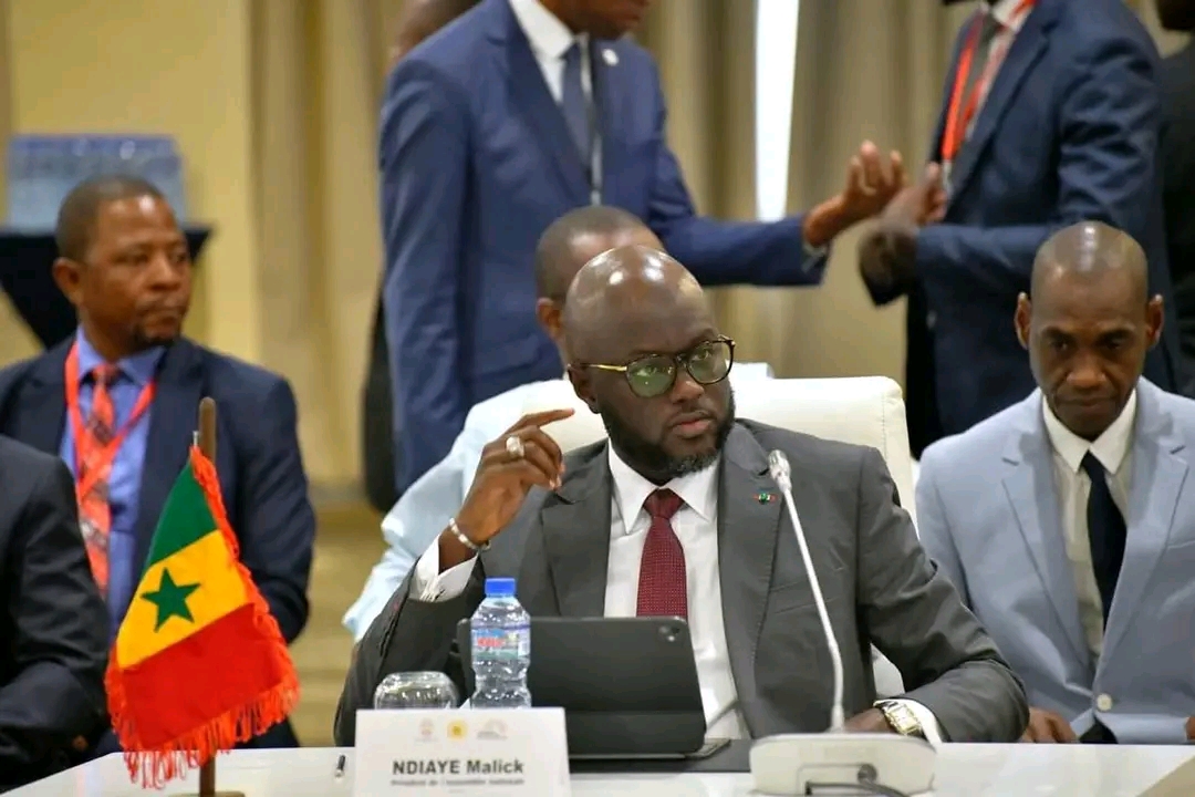 APF : El Malick Ndiaye propulsé au sommet de la Francophonie parlementaire