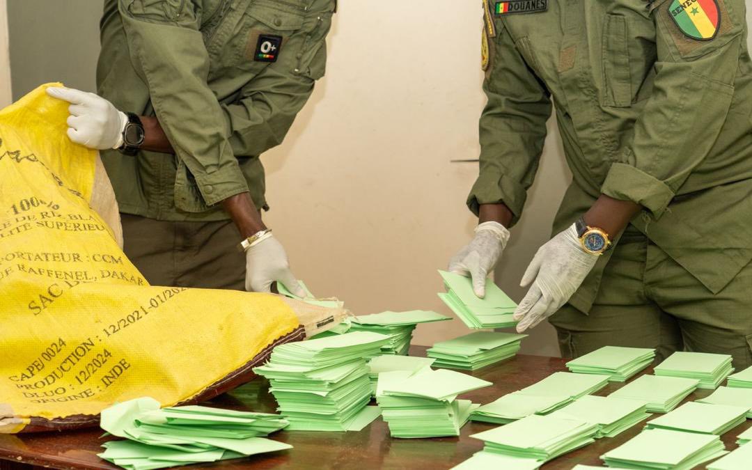 676130990 122251446884262854 332125309209716226 n