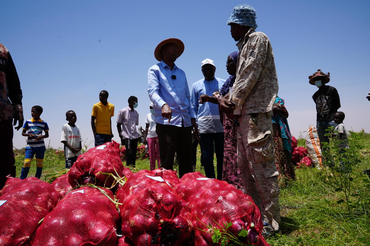 Matam : l’ADEPME valorise la SIPA de Thiambé, vitrine d’une relance agricole réussie 26 Matam : l’ADEPME valorise la SIPA de Thiambé, vitrine d’une relance agricole réussie