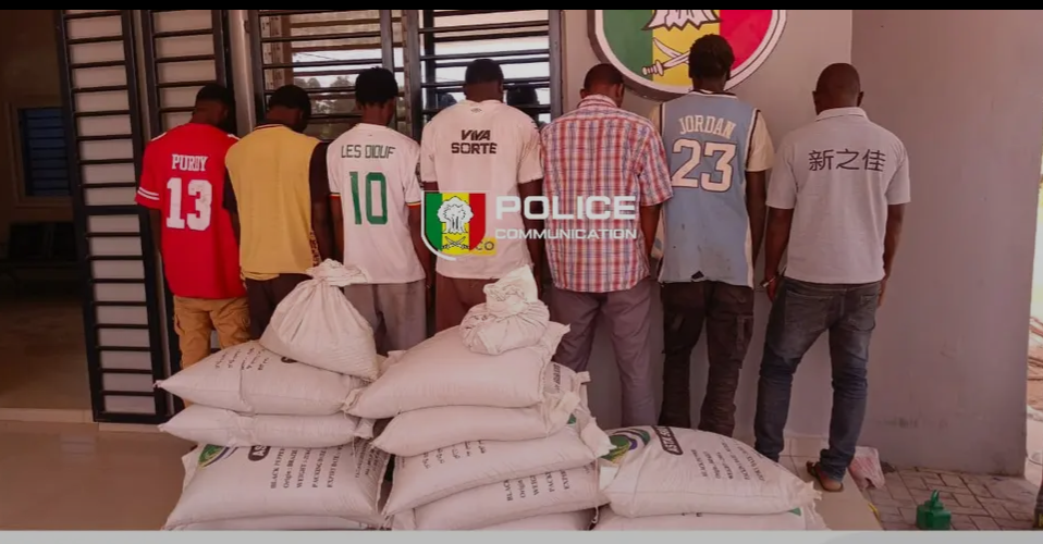 Bignona : la Police démantèle un réseau de vol et de recel de marchandises