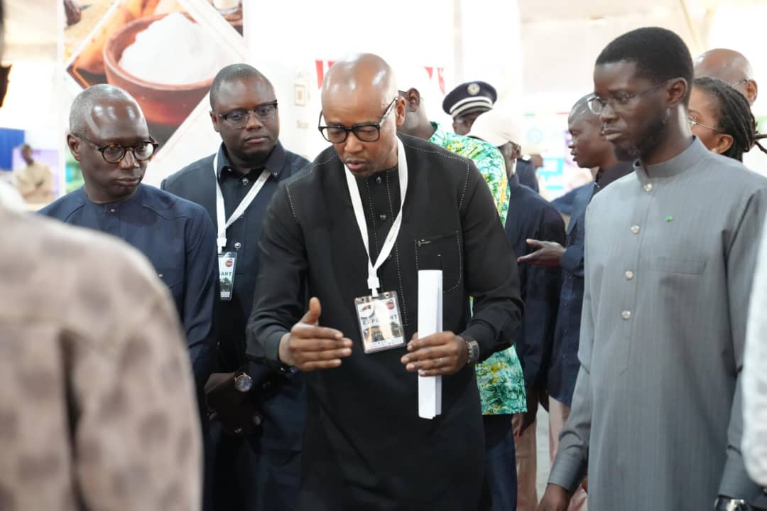 WhatsApp Image 2026 04 11 at 14.46.27 1