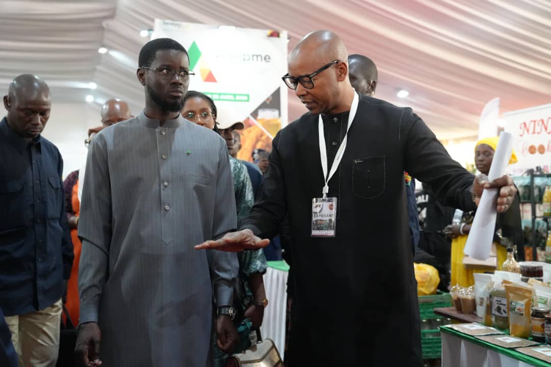 WhatsApp Image 2026 04 11 at 14.46.27