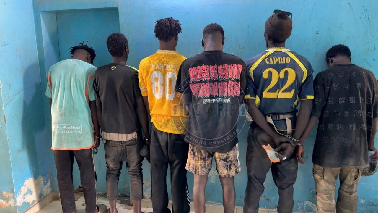 Diamniadio : Six individus arrêtés avec du chanvre indien et du Kush