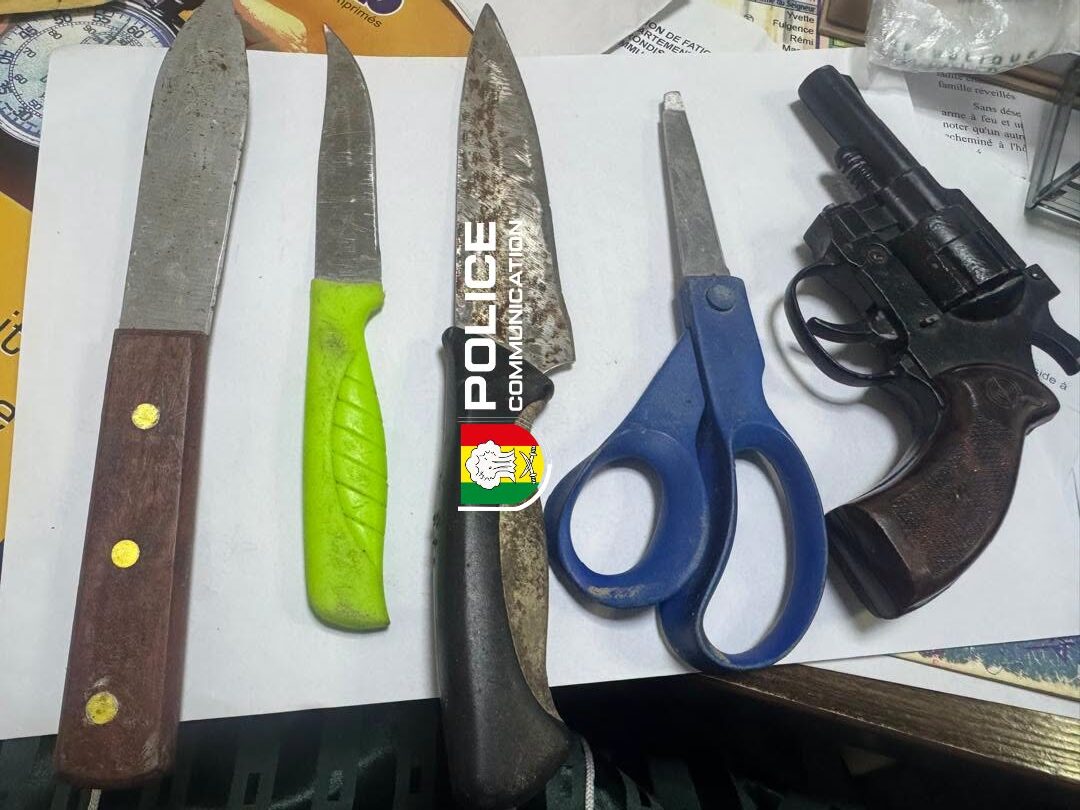 Golf Sud : Un homme interpellé avec un revolver, des couteaux et du chanvre indien 14 Golf Sud : Un homme interpellé avec un revolver, des couteaux et du chanvre indien