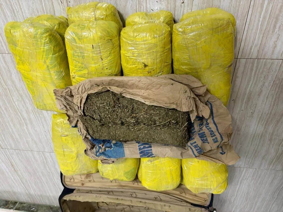 Nioro : 28 kilogrammes de chanvre indien saisis par les Douanes 10 Nioro : 28 kilogrammes de chanvre indien saisis par les Douanes