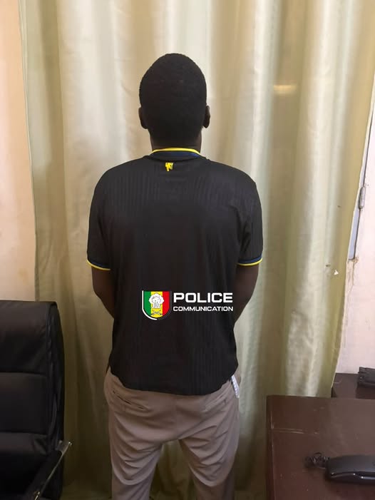 Karang : 34 kg de khat saisis sur un ressortissant gambien 13 Karang : 34 kg de khat saisis sur un ressortissant gambien