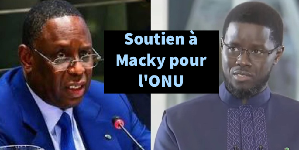 Diomaye-Macky...un soutien qui «scandalise» les partisans de la rupture 7 Diomaye-Macky…un soutien qui «scandalise» les partisans de la rupture