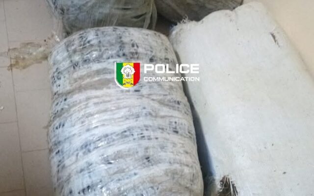 Mbour : La Brigade régionale des stupéfiants saisit 160,75 kg de chanvre indien 12 Mbour : La Brigade régionale des stupéfiants saisit 160,75 kg de chanvre indien